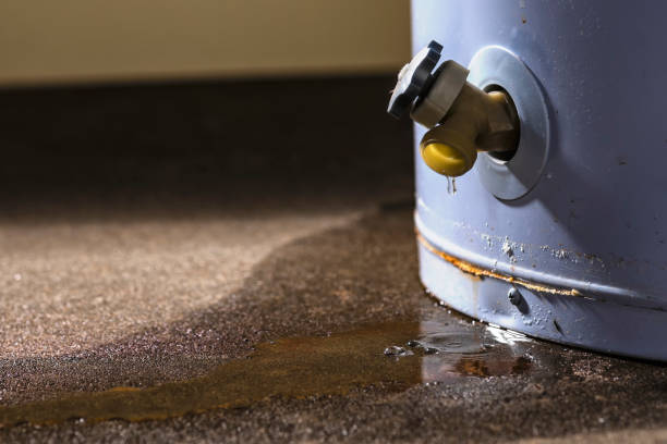 Best Water damage contractors near me  in Springfield, NJ