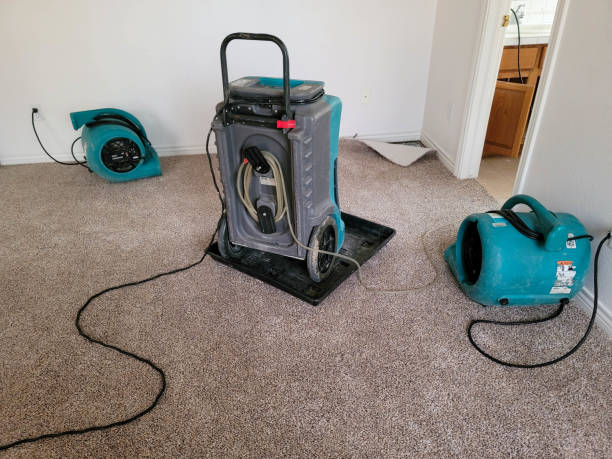 Best Flooded house restoration  in Springfield, NJ