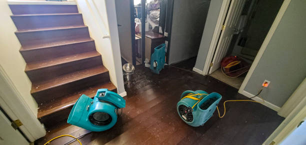  Springfield, NJ Water damage restoration Pros