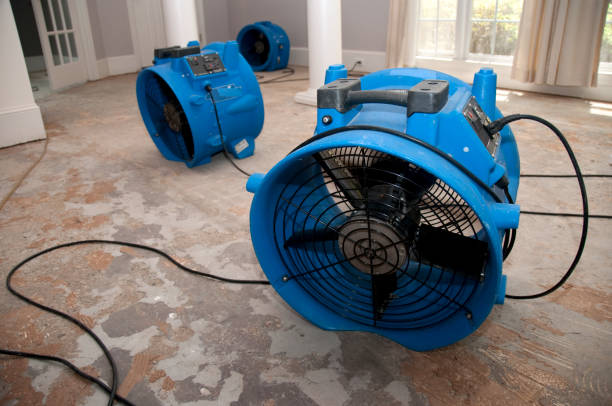 Best 24/7 water damage repair  in Springfield, NJ