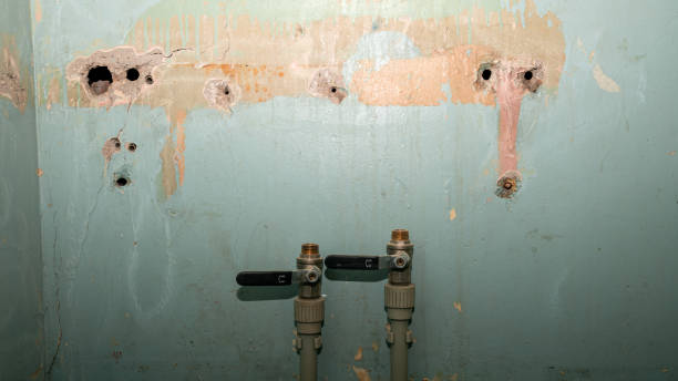 Best Residential water damage restoration  in Springfield, NJ